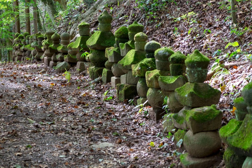 津金寺の境内に並ぶ石塔