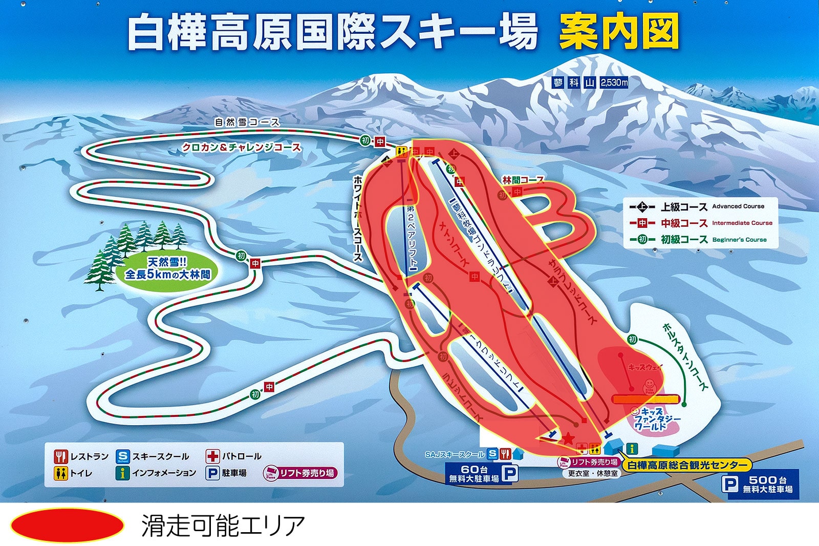 2020年2月7日現在の白樺高原国際スキー場、滑走可能エリア