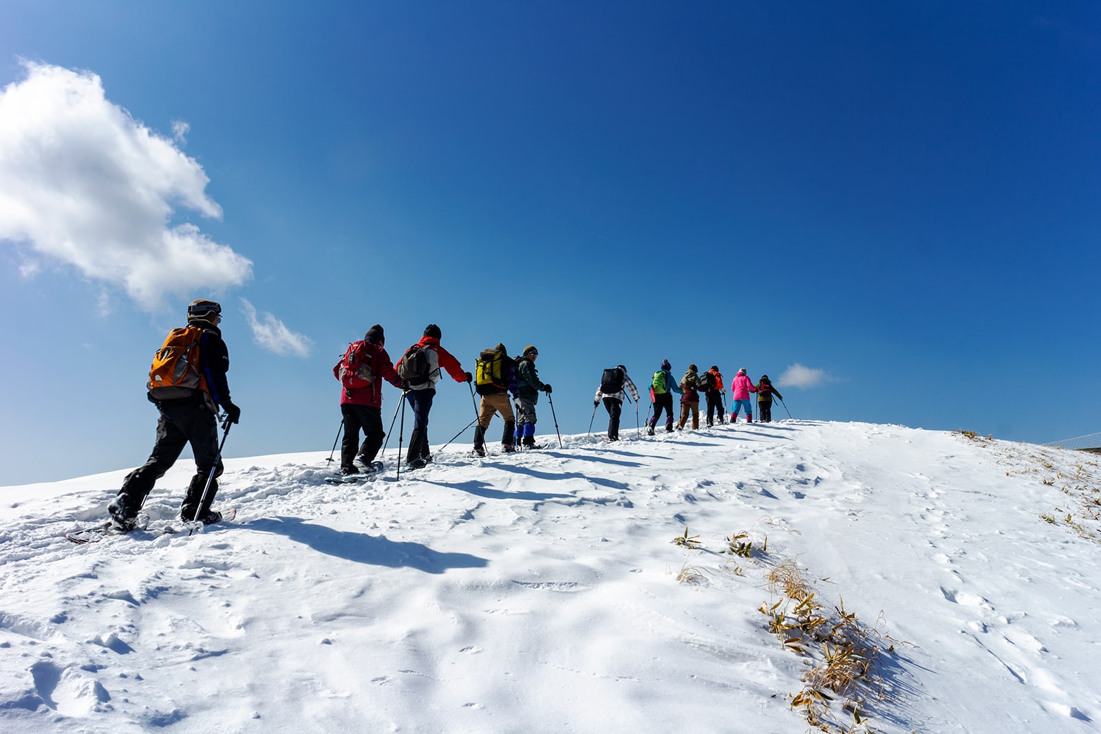 真っ青な美しい空と真っ白な雪原の境目を歩く八子ヶ峰スノーハイクコース